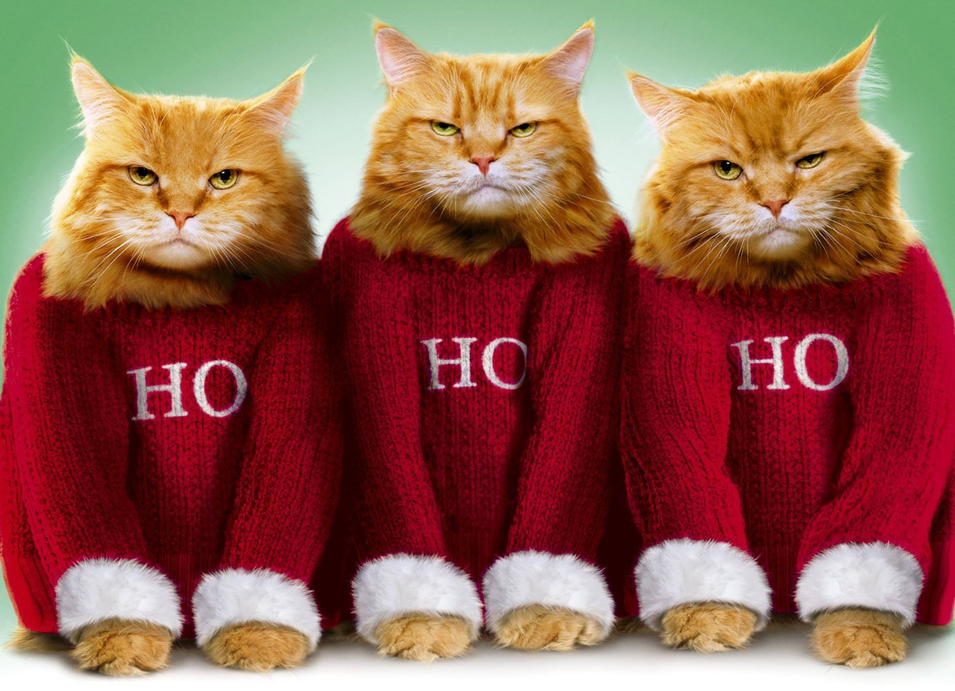 10 Grumpy Cats Christmas Cards