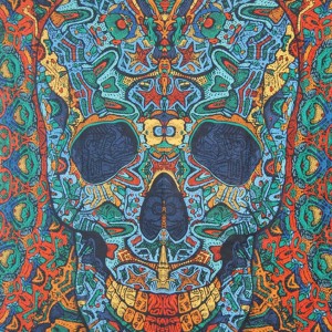 3D Skull Wall Tapestry 60x90
