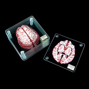 Set of 10 Brain Specimen Coasters