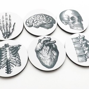 Set of 6 Anatomy Coasters