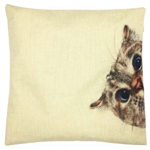 "What are you doing?" Cat Pillowcase 18x18in