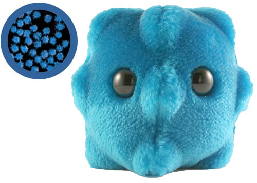 Giant Plush Microbes (Common Cold)