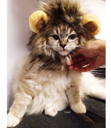 Pet Costume Lion Mane Wig 